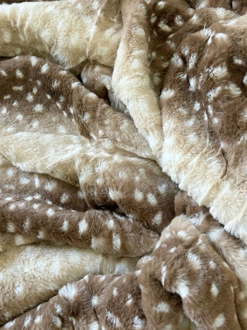 　　　　　(⇀‸↼‶)　🦌　✿　˚ 　⁓　꙳
