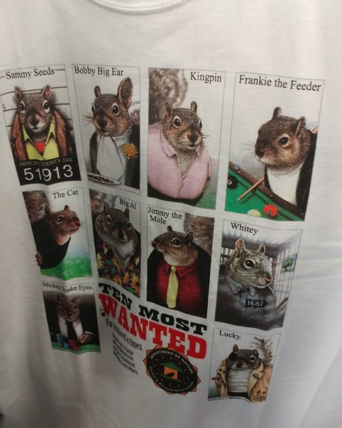 shiftythrifting:Two words: squirrel mafia.(My local Goodwill isn’t inherently shifty by nature, so a