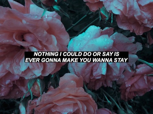 surrealist-lyricist: Think I’m Still In Love With You - Joyce Manor