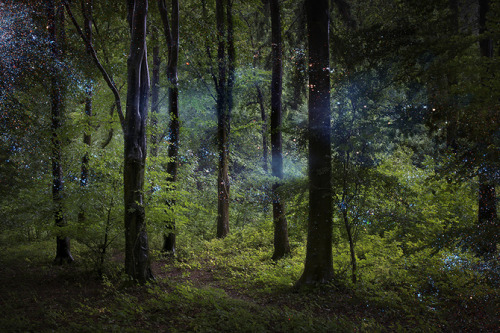 lohrien:Photography by Ellie Davies