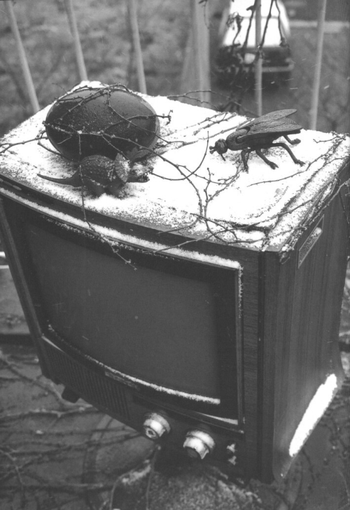 Nobuyoshi Araki