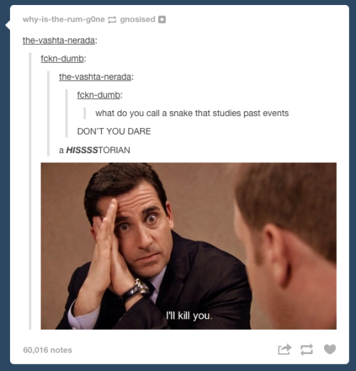 itsstuckyinmyhead:  Tumblr and Puns