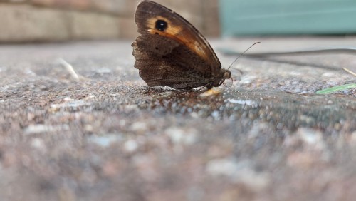 Another Unedited One...with A Duffed Up Lens Lol. I Should Really Clean The Thing, But I Kinda Like The