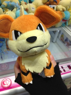 zombiemiki:  Little Growlithe is adorable.