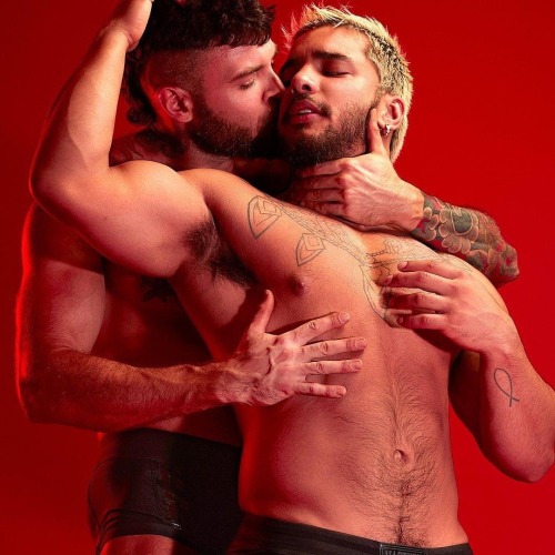 Porn photo gay-couples: