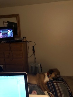 Some John Wayne and puppy cuddles while doing homework