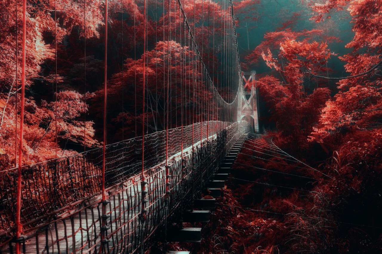 melodyandviolence:  by   Hanson Mao(毛延延)   