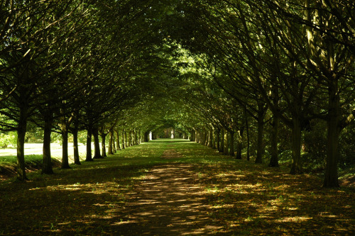 lndnwlkr: Anglesey Abbey, Cambridgeshire, England (by wumpus)