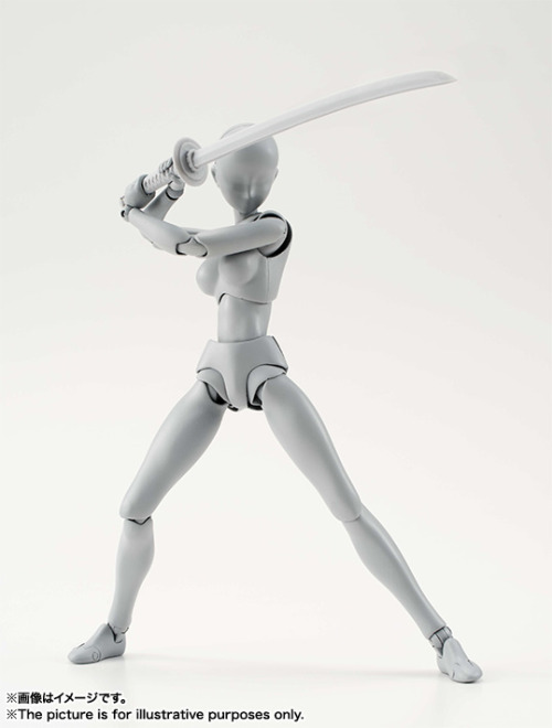 ohnoraptors:S.H.Figuarts ボディちゃん DX SET （Gray Color Ver.）