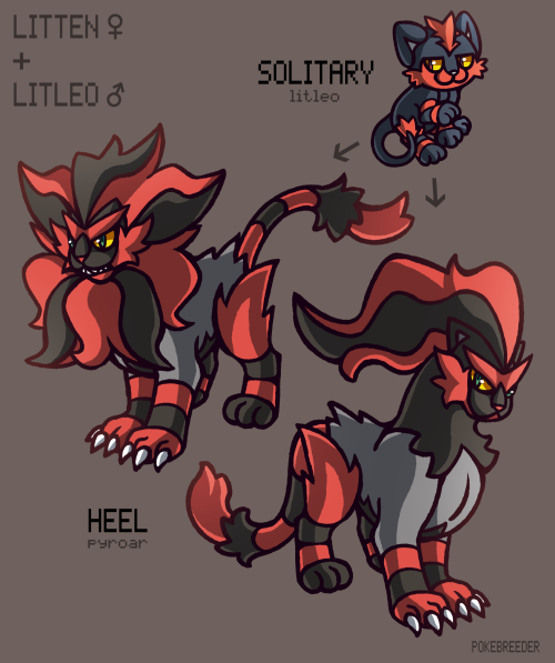 Solitary Litleo are stoic Pokémon that prefer to fend for themselves rather than stay in family grou