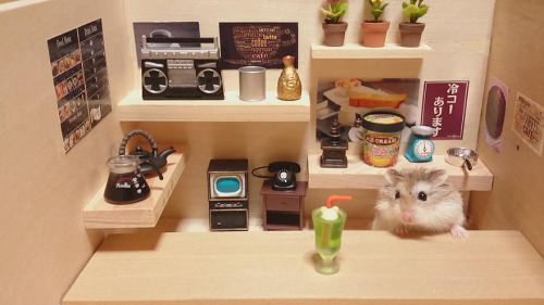 the-vortexx:  Hamsters as shopkeepers!  