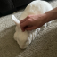 tiny-sock-sharing
