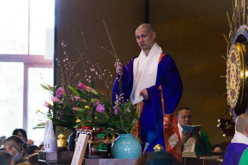 Daruma Kuio at Nishi-Arai Daishi temple