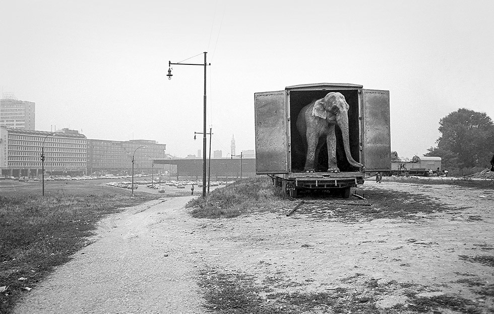 Area Garibaldi, Alberto Dubini, Milano 1980