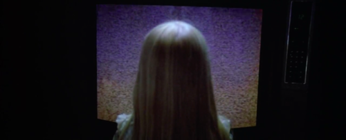 tequilahag:Poltergeist (1984) dir. Steven Spielberg