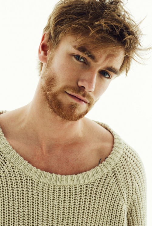 beards carefully curated