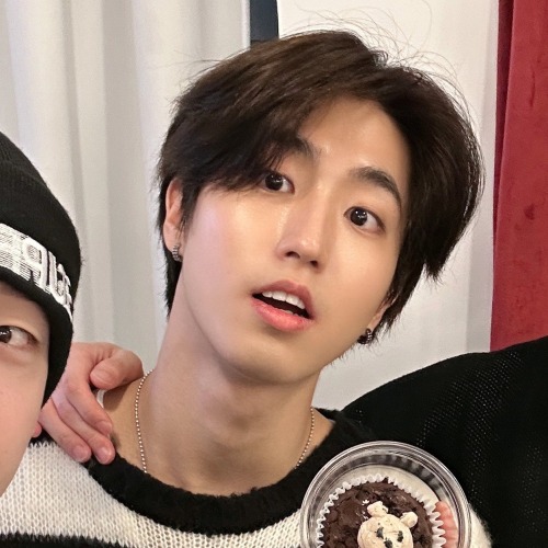 Stray Kids Matching Icons/metadinhas (racha Log Ep. 07).