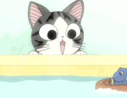 kittensplaypenshop:  Chi’s Sweet Home &lt;3   @catnip-brownies