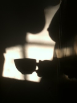 Lisaofthenorth:  Sun Is Up… Morning…Shadow Coffee…Enjoy The Day Everyone 