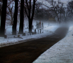 taphophilia:  Brume and Tomb by willkommen on Flickr. 