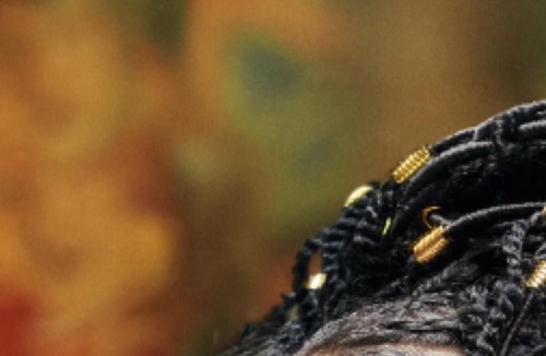 braidsforblackgirls:  http://instagram.com/fkatwigs ✨
