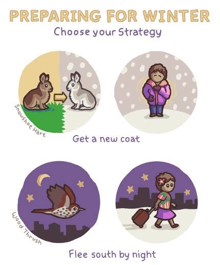 birdandmoon:It’s time for winter - choose your strategy wisely!Find this comic on my site here.