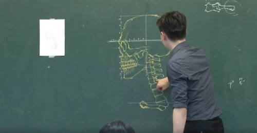 tenderlysweettoday:  sixpenceee:   Taiwanese illustrator and instructor Chuan-Bin Chung  crafts accurate and artistic anatomical forms of muscle and skeleton for his class.  Fantastic artist! 