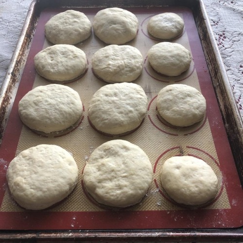 Sourdough English Muffins almost ready to put on the griddle. #recipedeveloper #recipeideas #sourdou