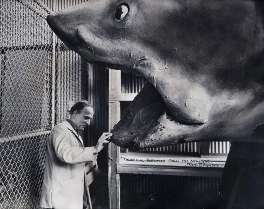 2headedfilmfanatic:Ingmar Bergman meets Bruce the Shark from Jaws (1975)