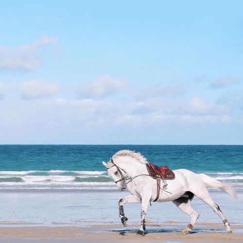 Blue like the sky or like the sea, the French photographer Murielle offers mininal and neat pictures