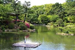 japanpix:  A Heron enjoying Shukkei-en Garden, Hiroshima