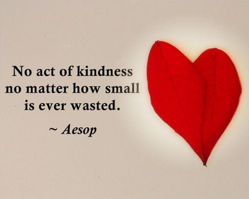 &ldquo;No act of kindness, no matter how small, is ever wasted.&quot;  A message for ev