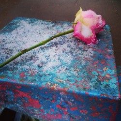 The Lost Rose  #lost #rose #trash #snow #colors #colours #flower #flowers