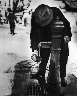 poboh:  Softening state bread, Vienna, after the Anchluss, 1938,  Roman Vishniac. (1897 - 1990)  