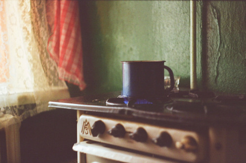 cuprikorn:   	95150026 by Ksenya Ganja via Flickrplease don’t remove credit, add/promote your blog, or claim as your own 