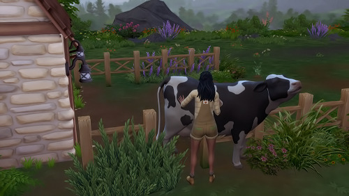 Because the Llama was kind of creeping me out- We exchanged him for Bluebell the Cow! Clover is very