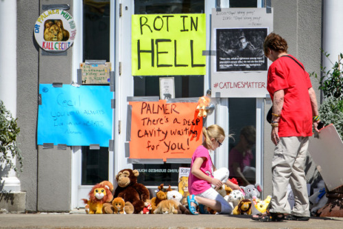 PETA president calls for dentist who killed Cecil the Lion to be ‘extradited, charged and pref