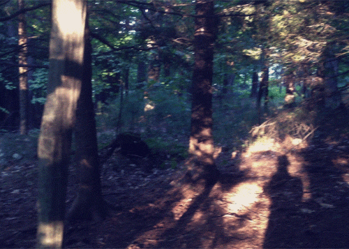 My Thoughts Wander Off The Face Of The Earth