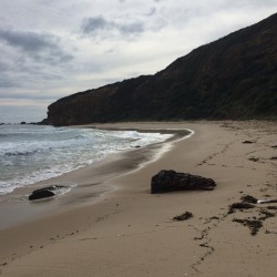 fluerly:  Got the beach all to myself ✌️