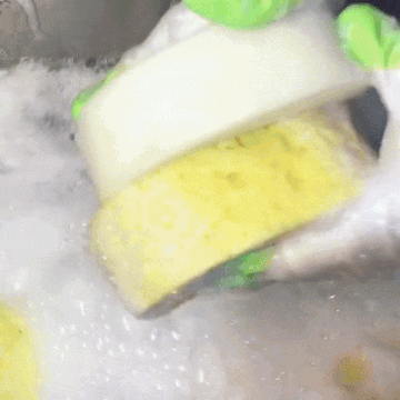 Soapy Sponges