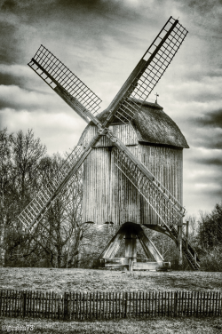 guisch73:  Don Quixote What do you say? Are