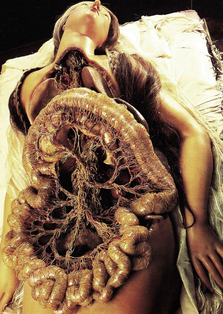 wunderkammerx:  Susini Clemente Venere de’ Medici, c. 1782 Modello in cera, Museo
