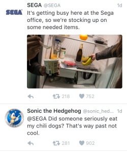 knucklesjunior-sidekick:  You can’t tell me this isn’t great   its not. why would you take sonic’s lunch?
