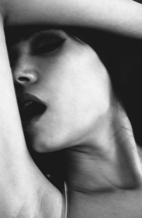 foxharvard:  “L’amour” Copyright © 2013, Fox Harvard, All Rights Reserved 