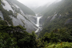 90377:    Yakushima by Joe Collver   