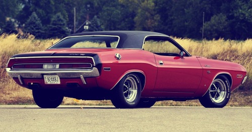 Muscle Cars of America