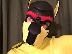 sfrubberboi:  Happy hump day pups! Let’s