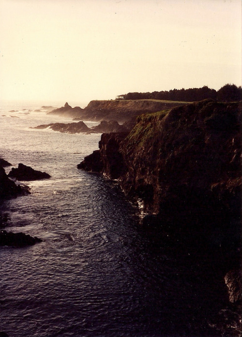 brutalgeneration:  (by margaret bernhardt) 