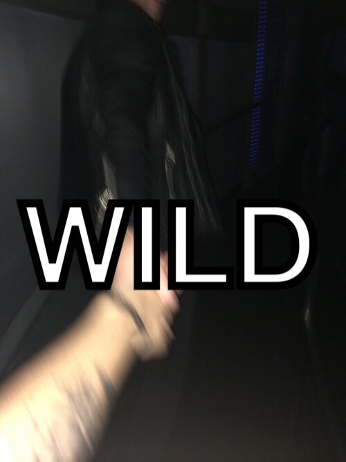 Wild//Troye Sivan