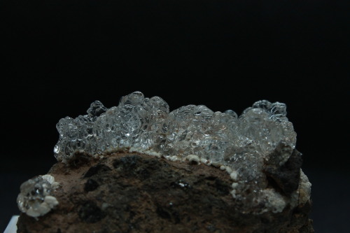 Hyalite and Carbonate-Rich Fluorapatite on MatrixLocality: Valeč, Doupov, Karlovy Vary Region, Czech